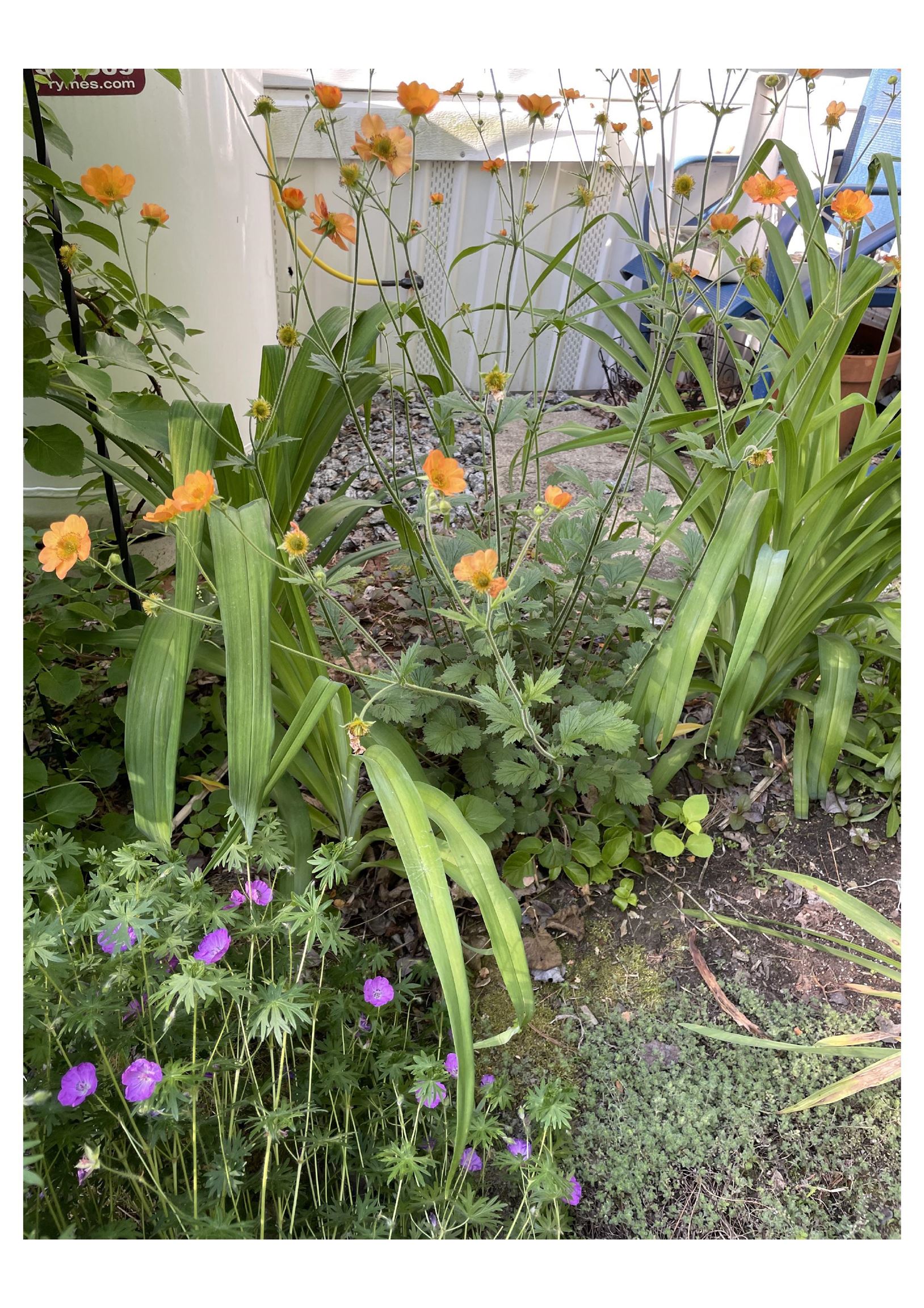 21 Vindale Road Hooksett, NH 03106 - Photo 32 of 45