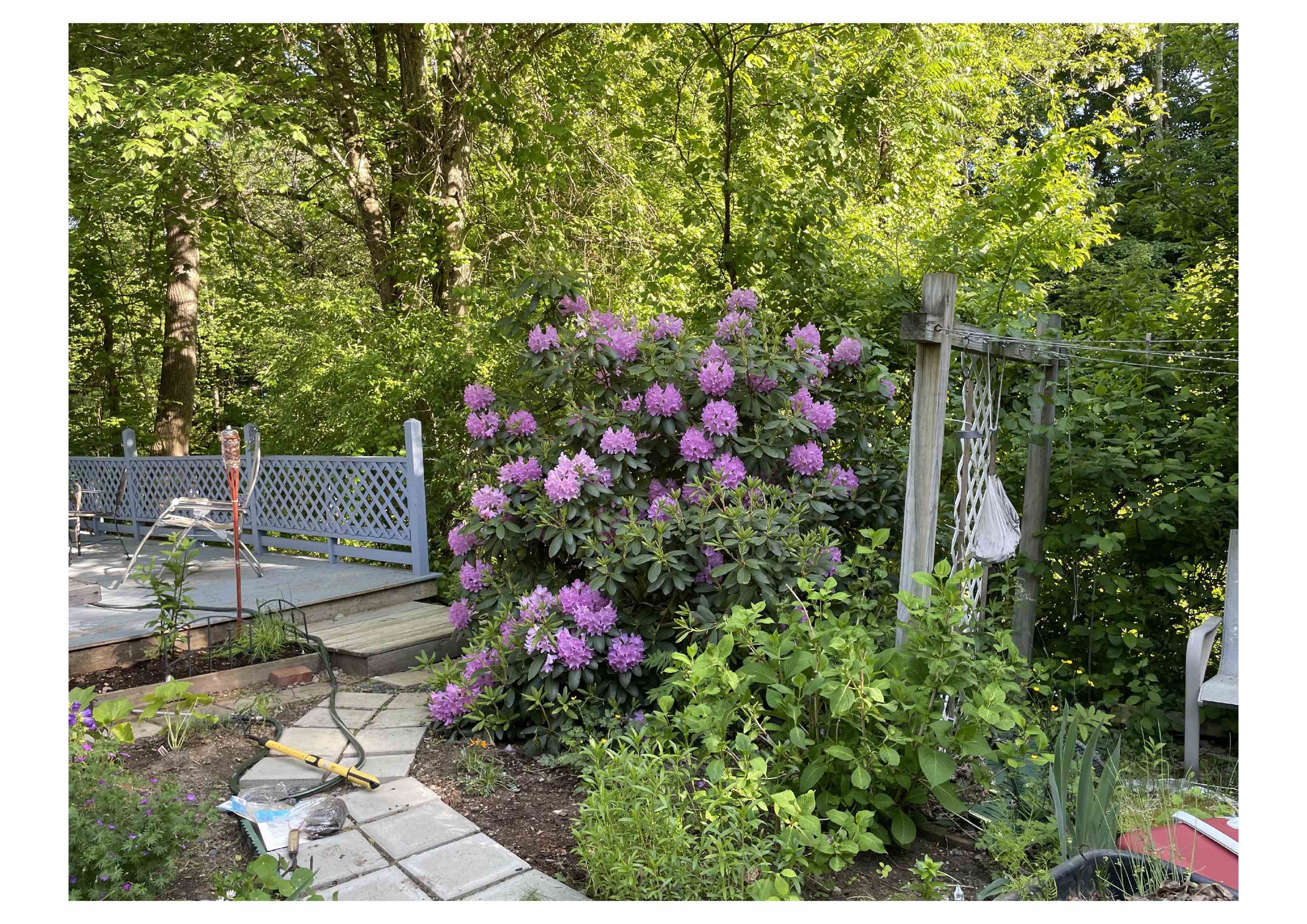 21 Vindale Road Hooksett, NH 03106 - Photo 33 of 45