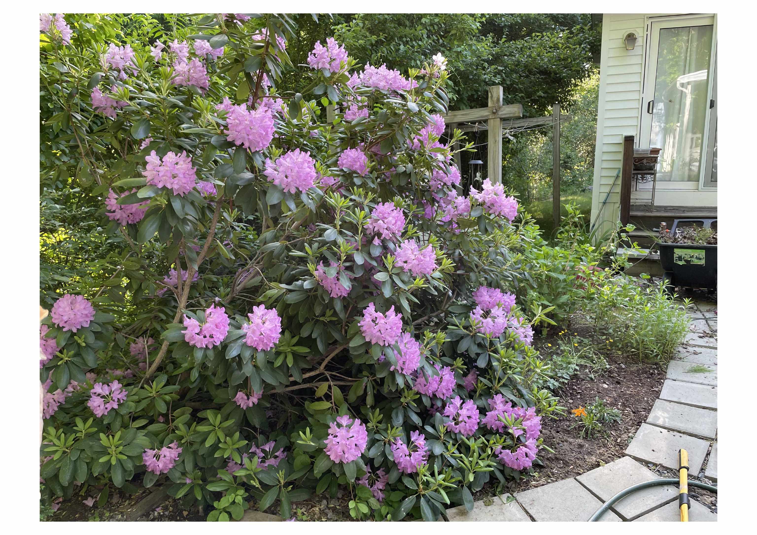 21 Vindale Road Hooksett, NH 03106 - Photo 34 of 45