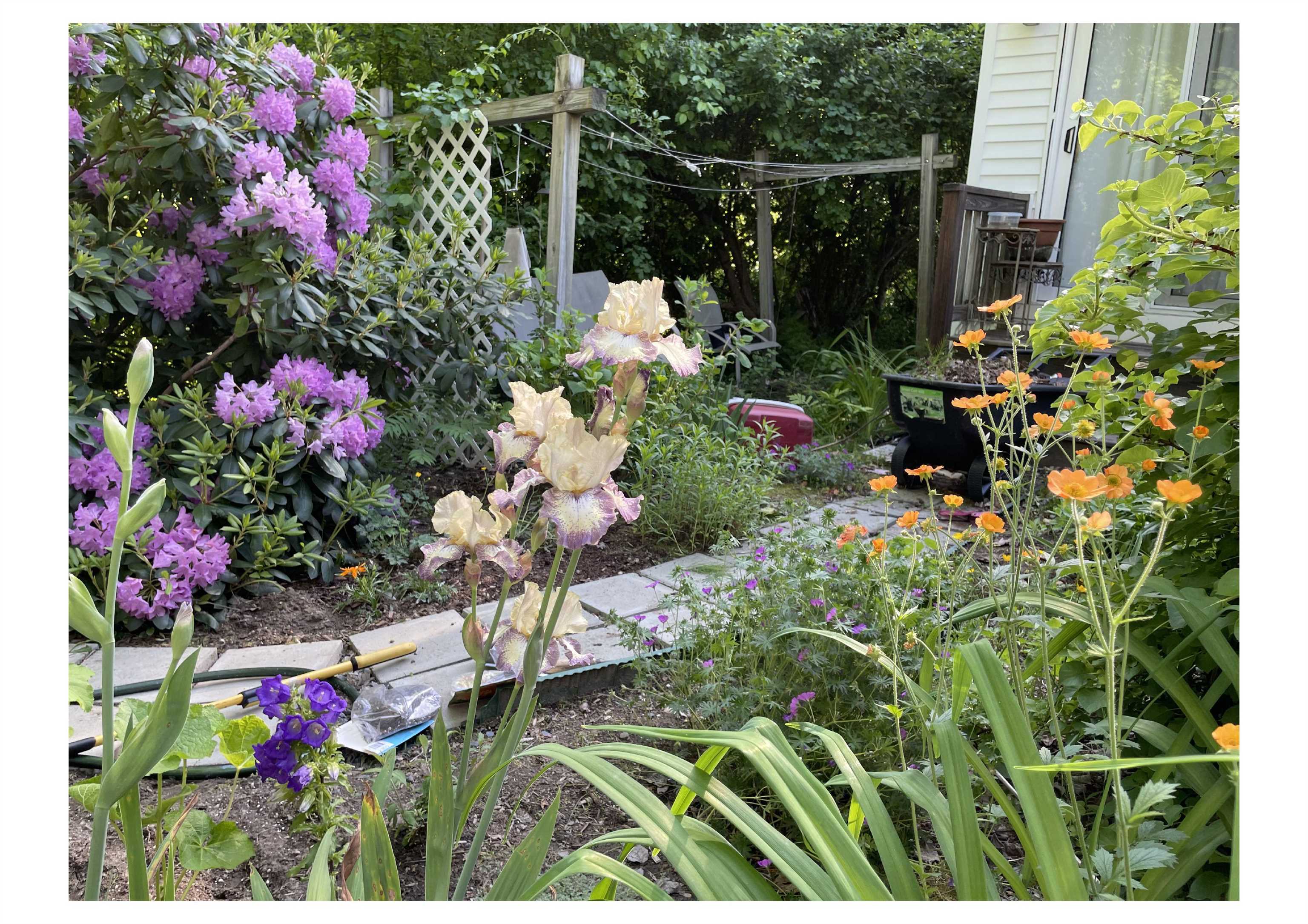 21 Vindale Road Hooksett, NH 03106 - Photo 36 of 45