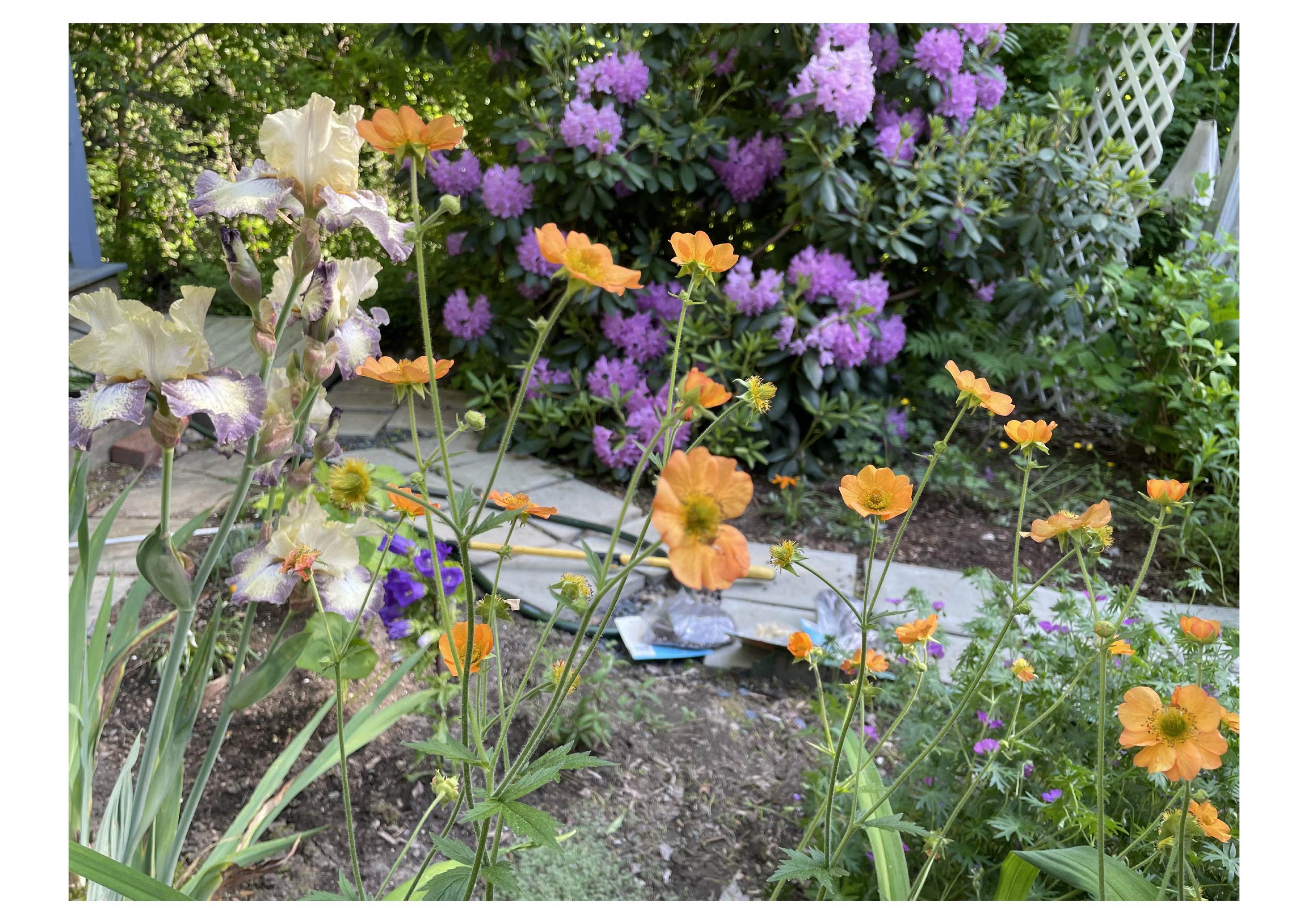 21 Vindale Road Hooksett, NH 03106 - Photo 37 of 45