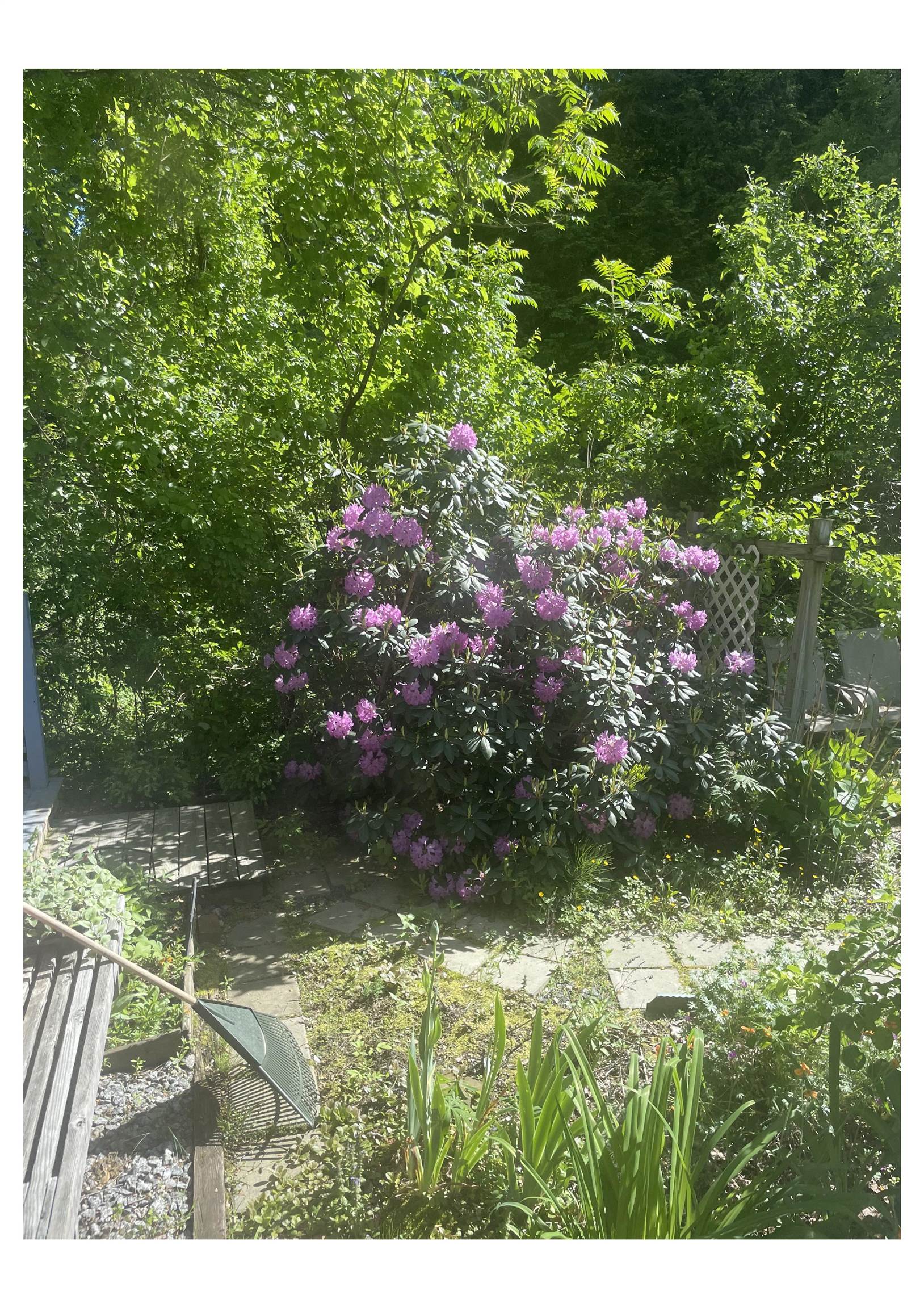 21 Vindale Road Hooksett, NH 03106 - Photo 44 of 45