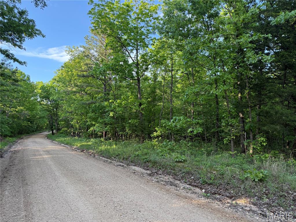 5 Carter 327 Ellsinore, MO 63937 - Photo 4 of 4