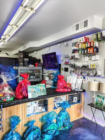 $535,000 | 7006 West Diversey Avenue, Chicago, IL 60634
