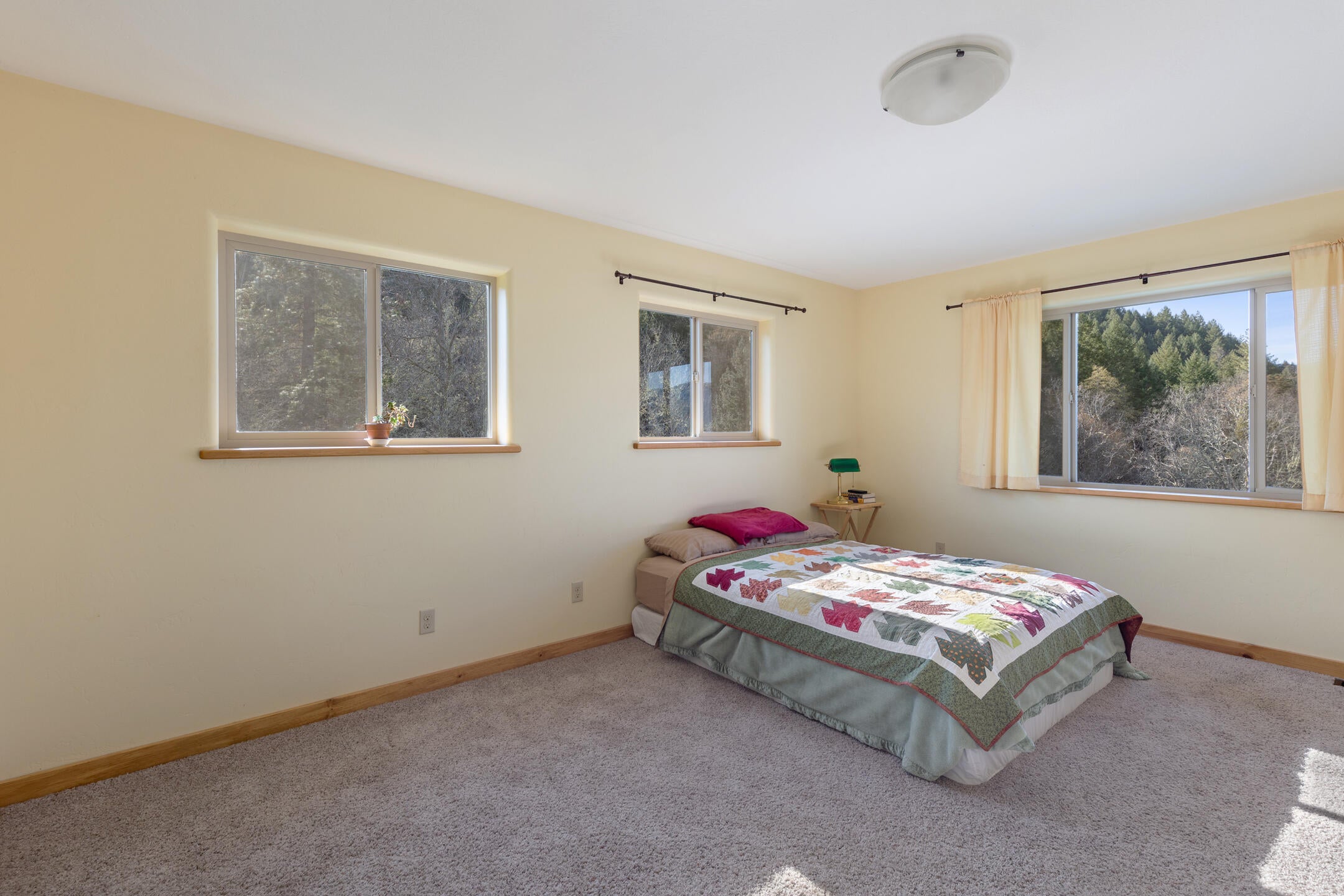1015 Panther Gulch Road Williams, OR 97544 - Photo 18 of 49 Master