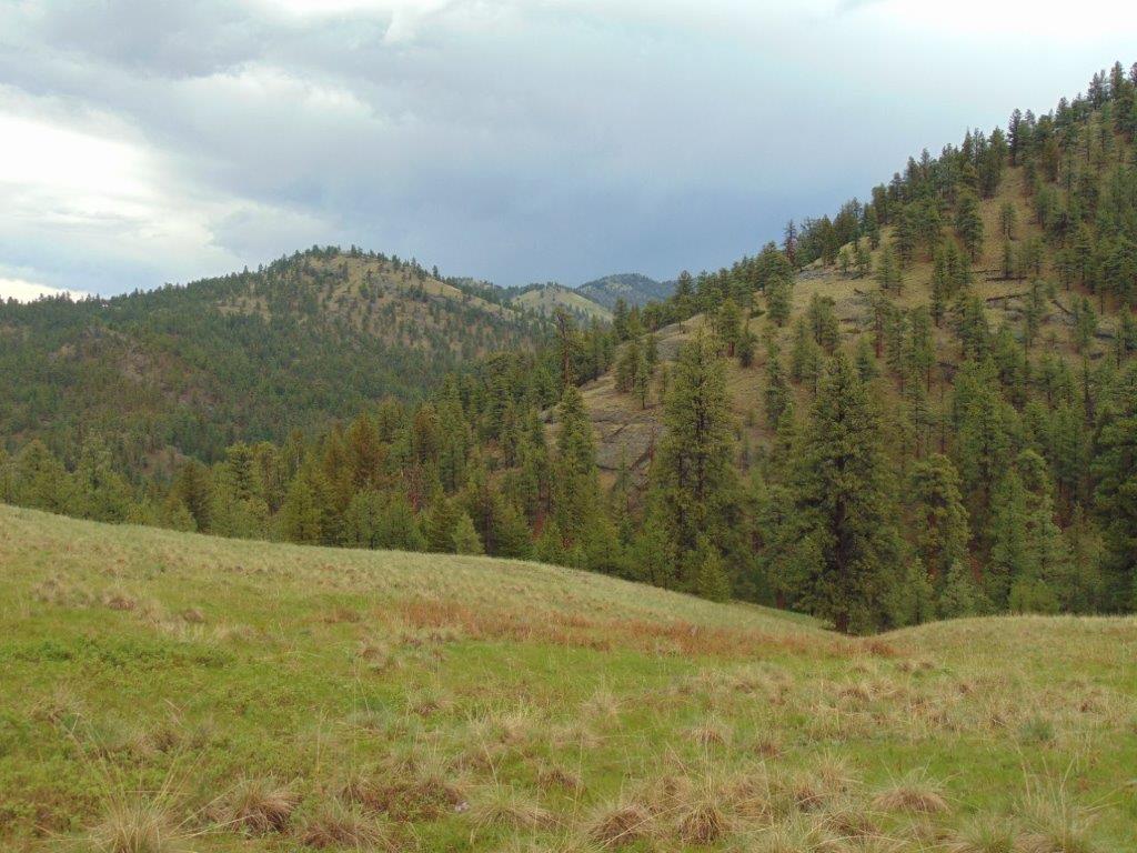 Tbd Shady Spring Lane Cascade, MT 59421 - Photo 17 of 78 Gallery Image 17