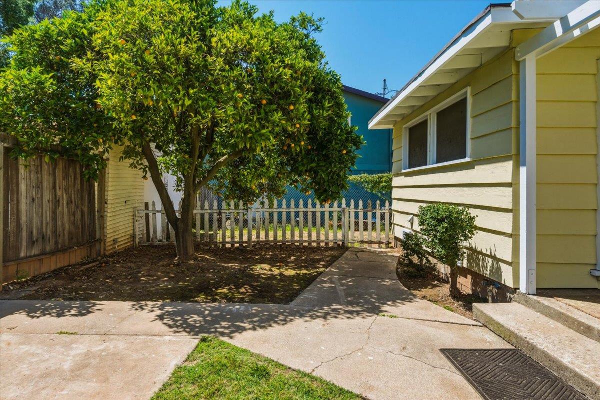 956 Tico Road Ojai, CA 93023 - Photo 24 of 50