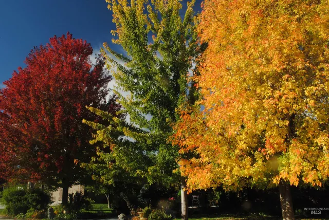 $740,000 | 915 North Glen Aspen Way, Star, ID 83669