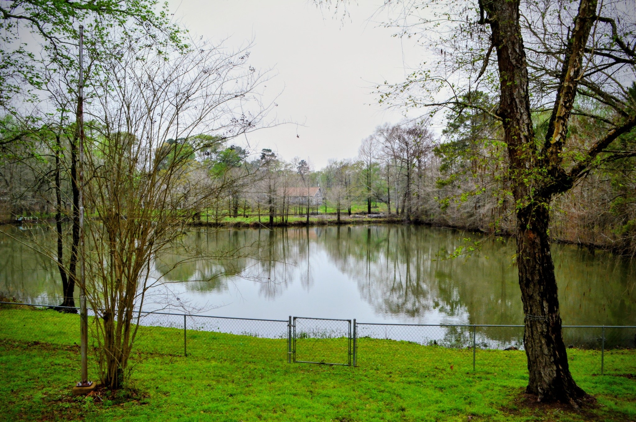 35 Susan Drive Cleveland, TX 77327 - Photo 19 of 33 View from back porch