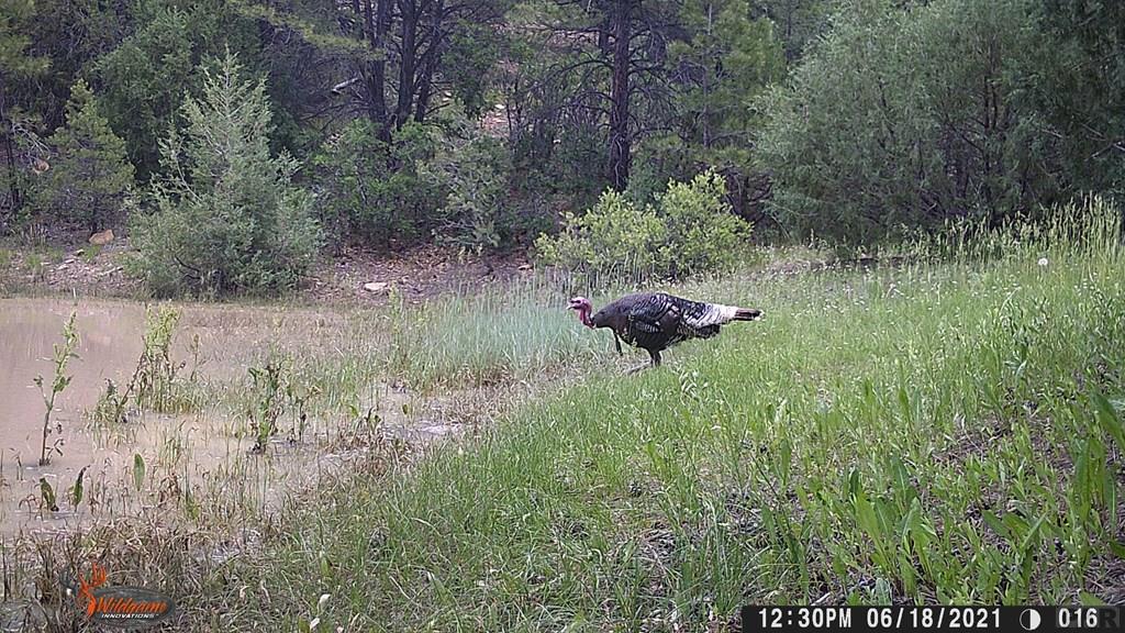 0 Co Road Trinidad, CO 81082 - Photo 42 of 64 Gallery Image 42