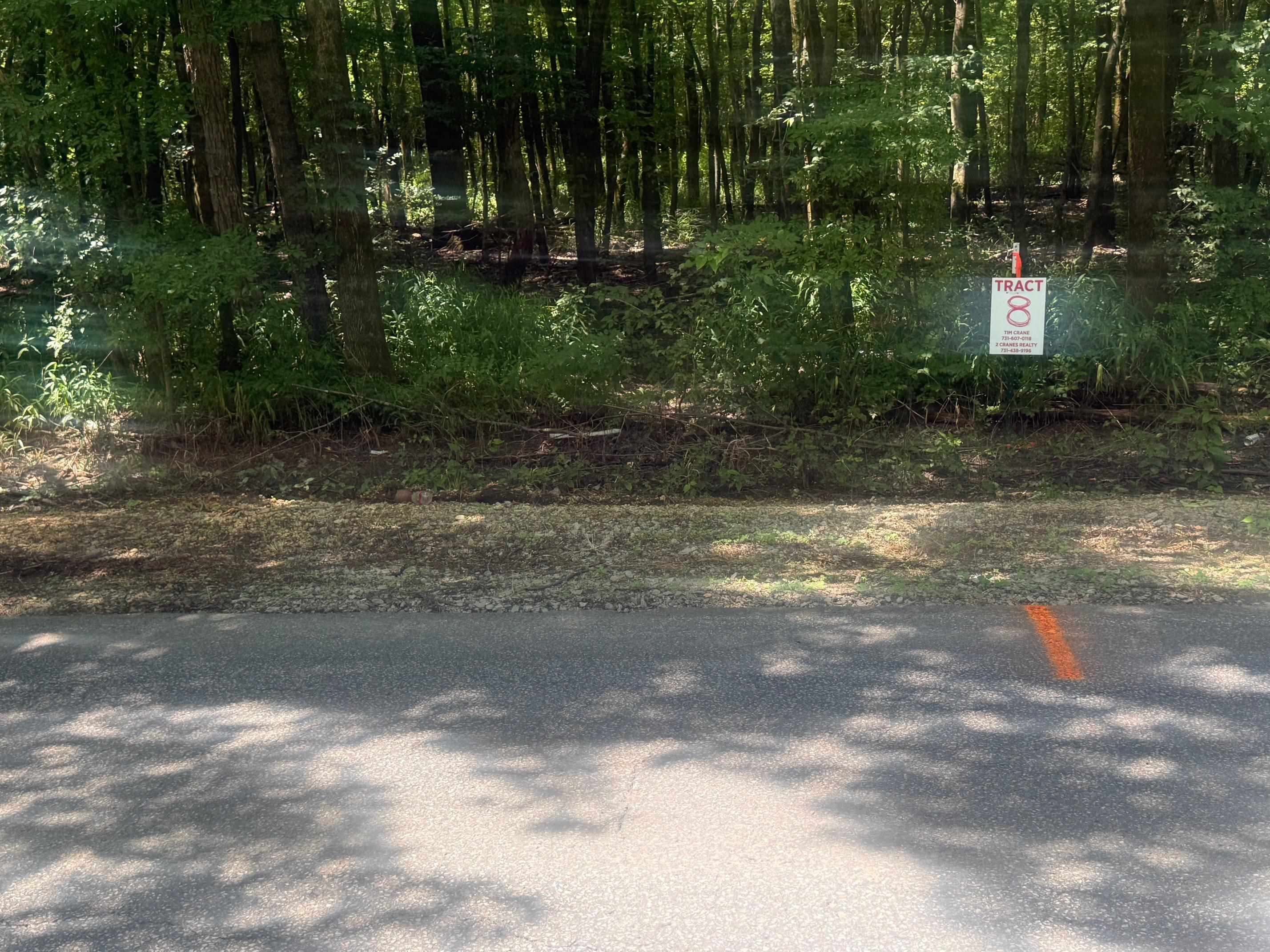 8 Coffee Landing Road Adamsville, TN 38310 - Photo 11 of 15 View of yard
