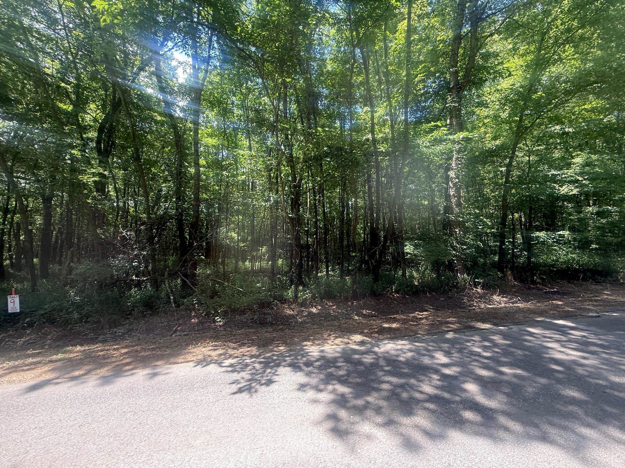 8 Coffee Landing Road Adamsville, TN 38310 - Photo 3 of 15 View of yard featuring a wooded view