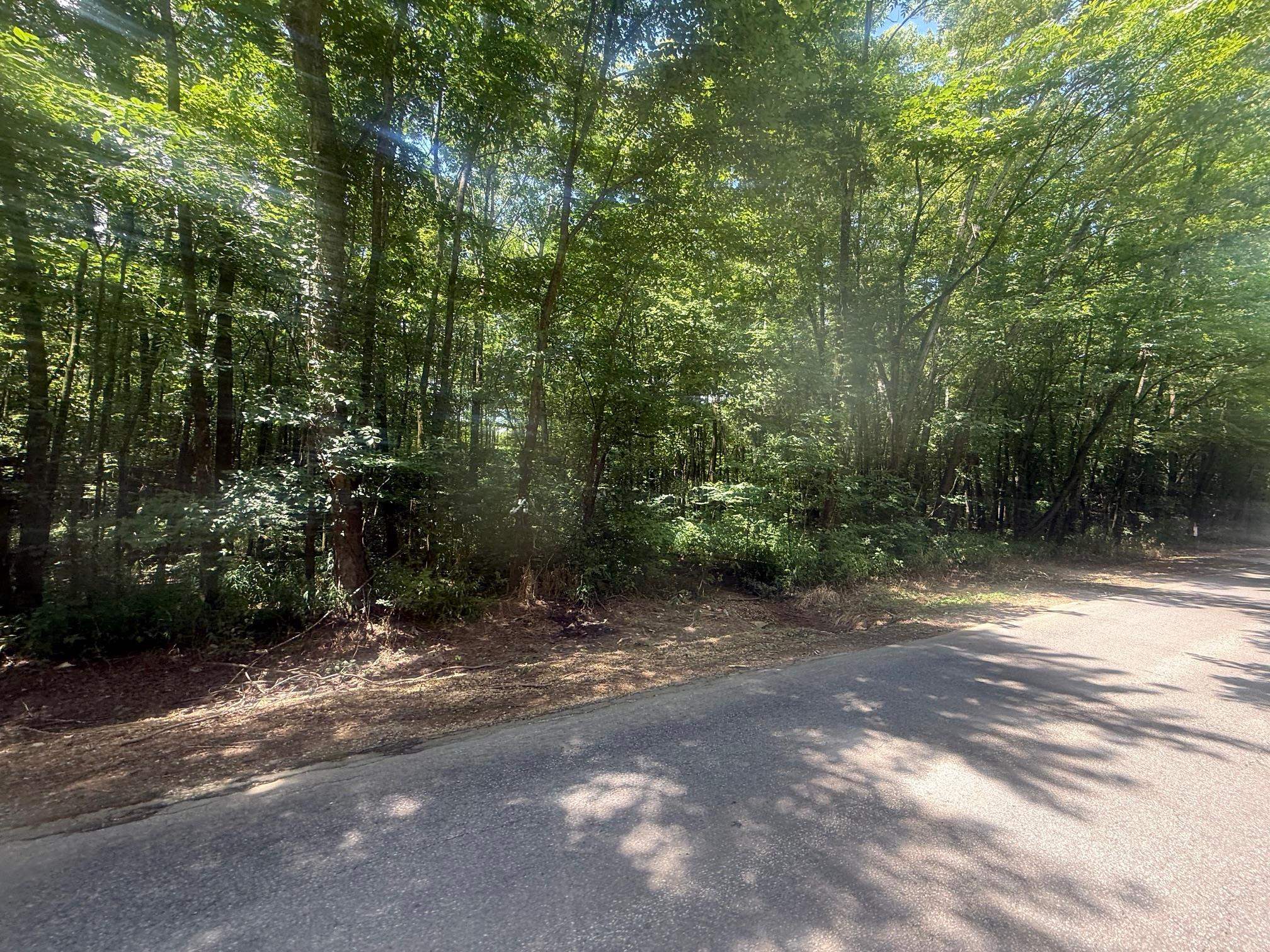 8 Coffee Landing Road Adamsville, TN 38310 - Photo 5 of 15 View of yard with a forest view
