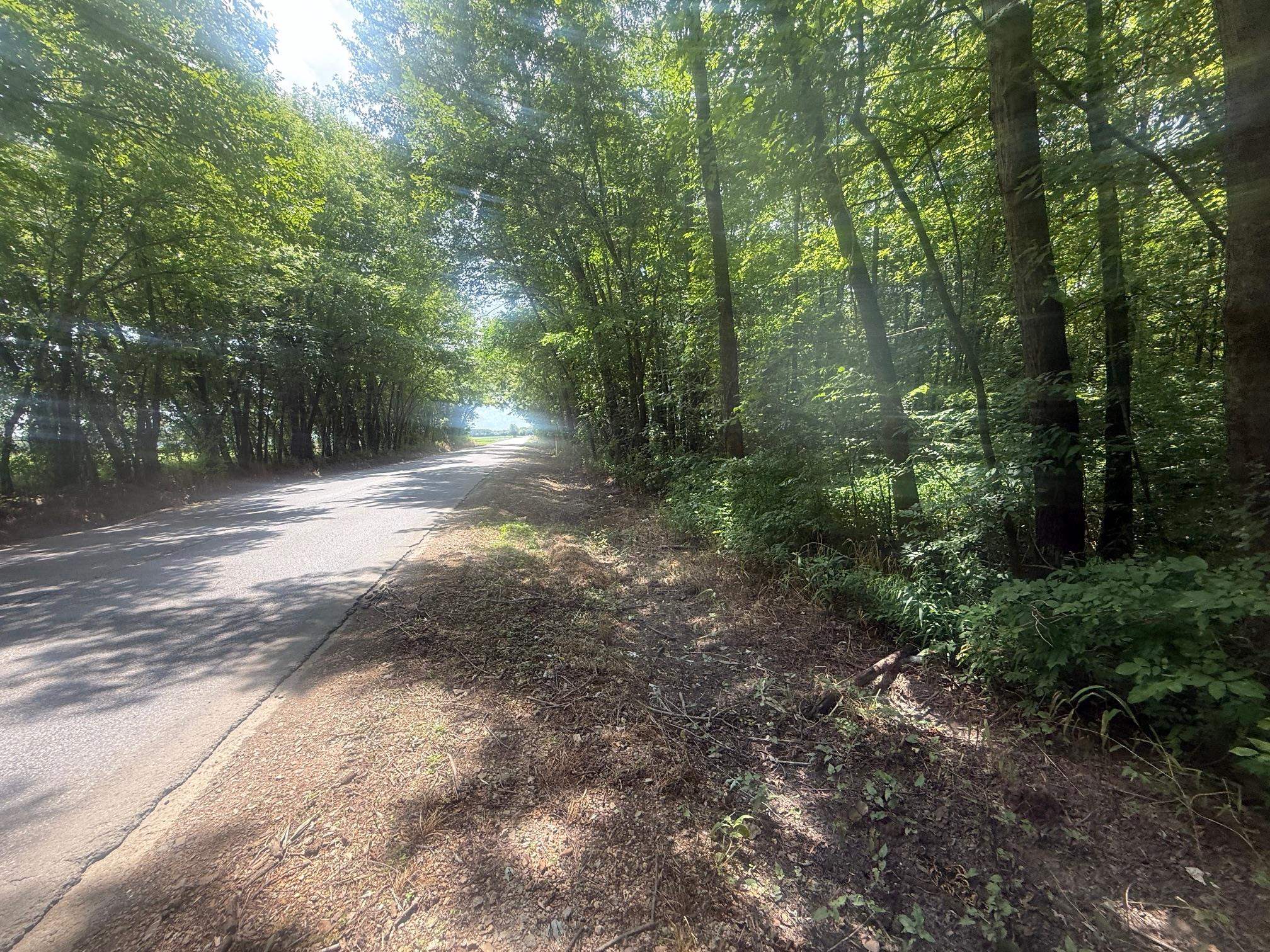 8 Coffee Landing Road Adamsville, TN 38310 - Photo 7 of 15 View of asphalt road