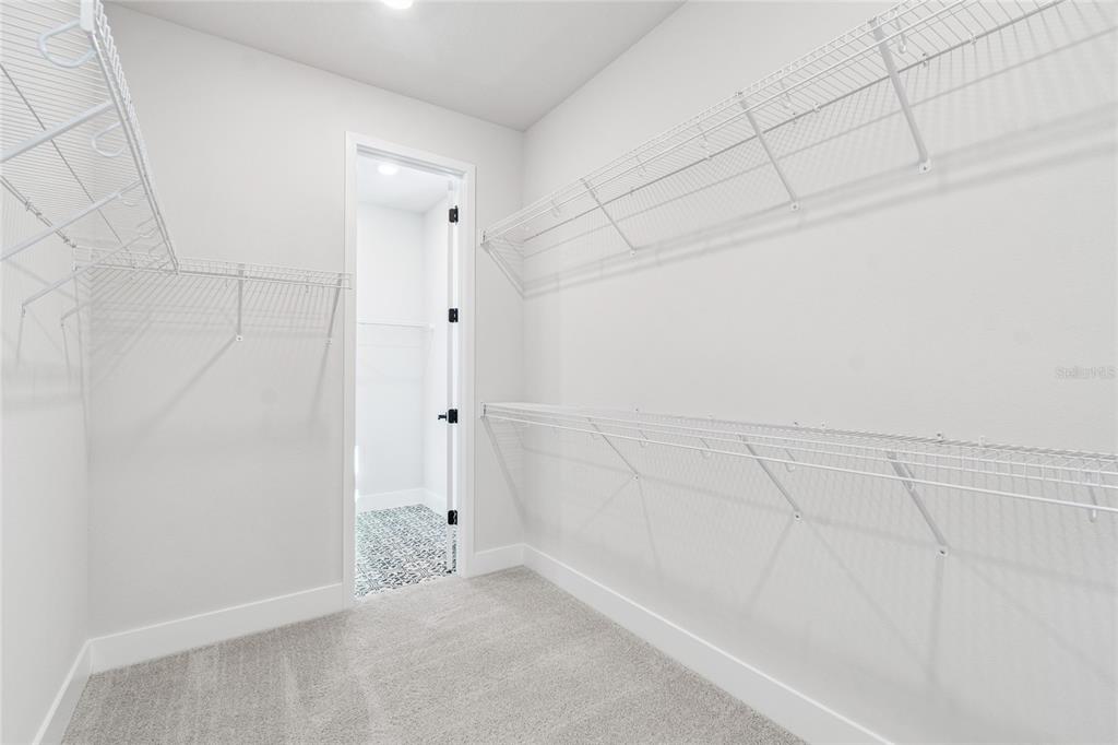 28780 Jujube Road Wesley Chapel, FL 33543 - Photo 27 of 55 Gallery Image 27