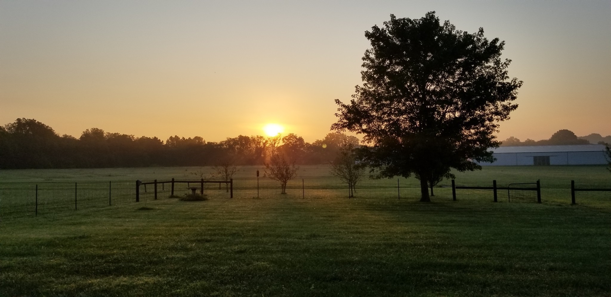 0 Ladd Road College Grove, TN 37046 - Photo 3 of 14 a view of an outdoor space and yard