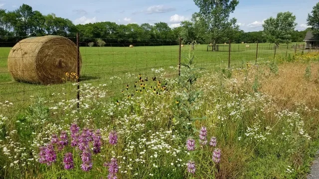 a view of a field with a sink