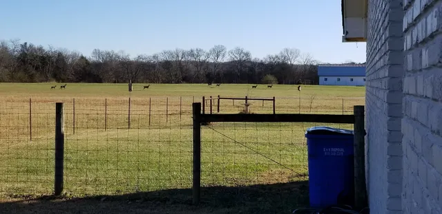 a view of a lake with outdoor space