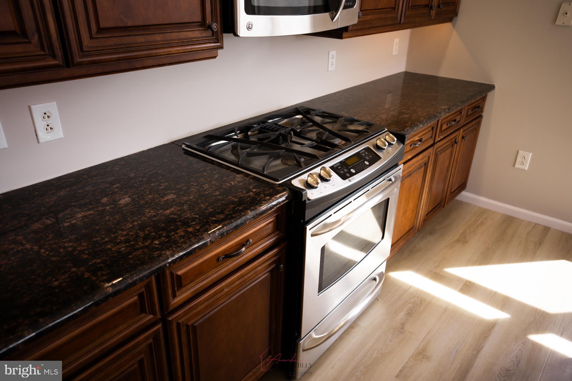 528 Carson Terrace Huntingdon Valley, PA 19006 - Photo 13 of 43 a close view of stove