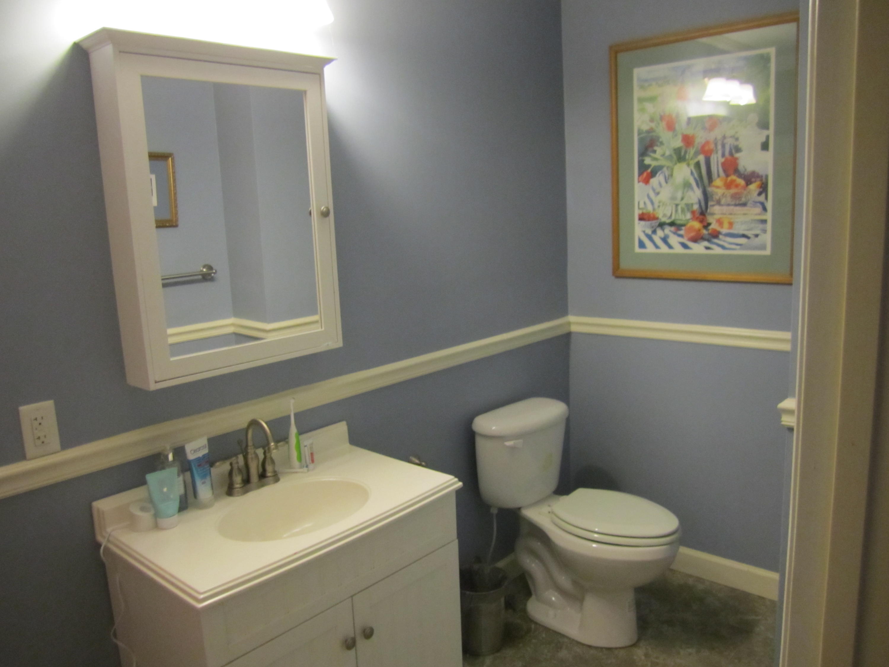 1129 State Rd S-15-145 Round O, SC 29474 - Photo 14 of 18 Hall bath