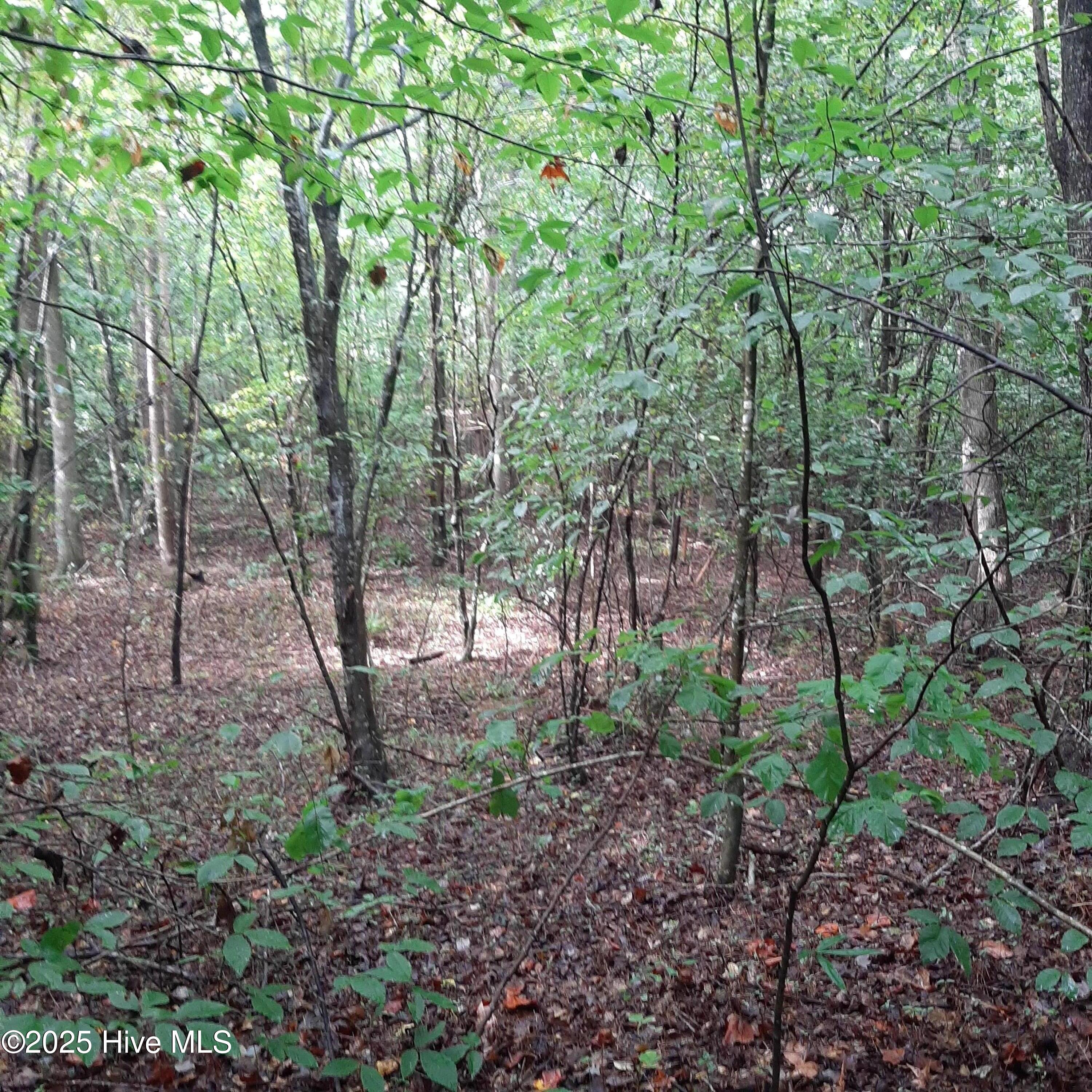 0 Bowden Rd Spring Spring Hope, NC 27882 - Photo 2 of 4 Bissett Tr-Off Bowden Rd-Aerial