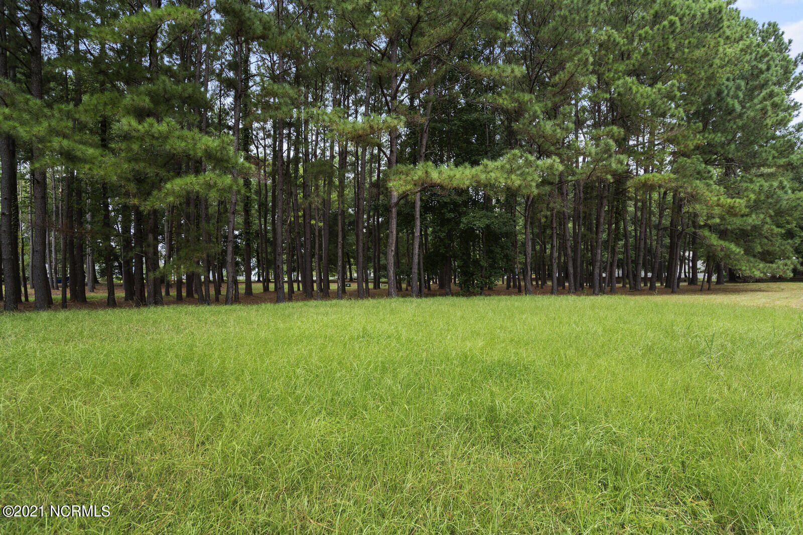 Can leave some trees for shade!