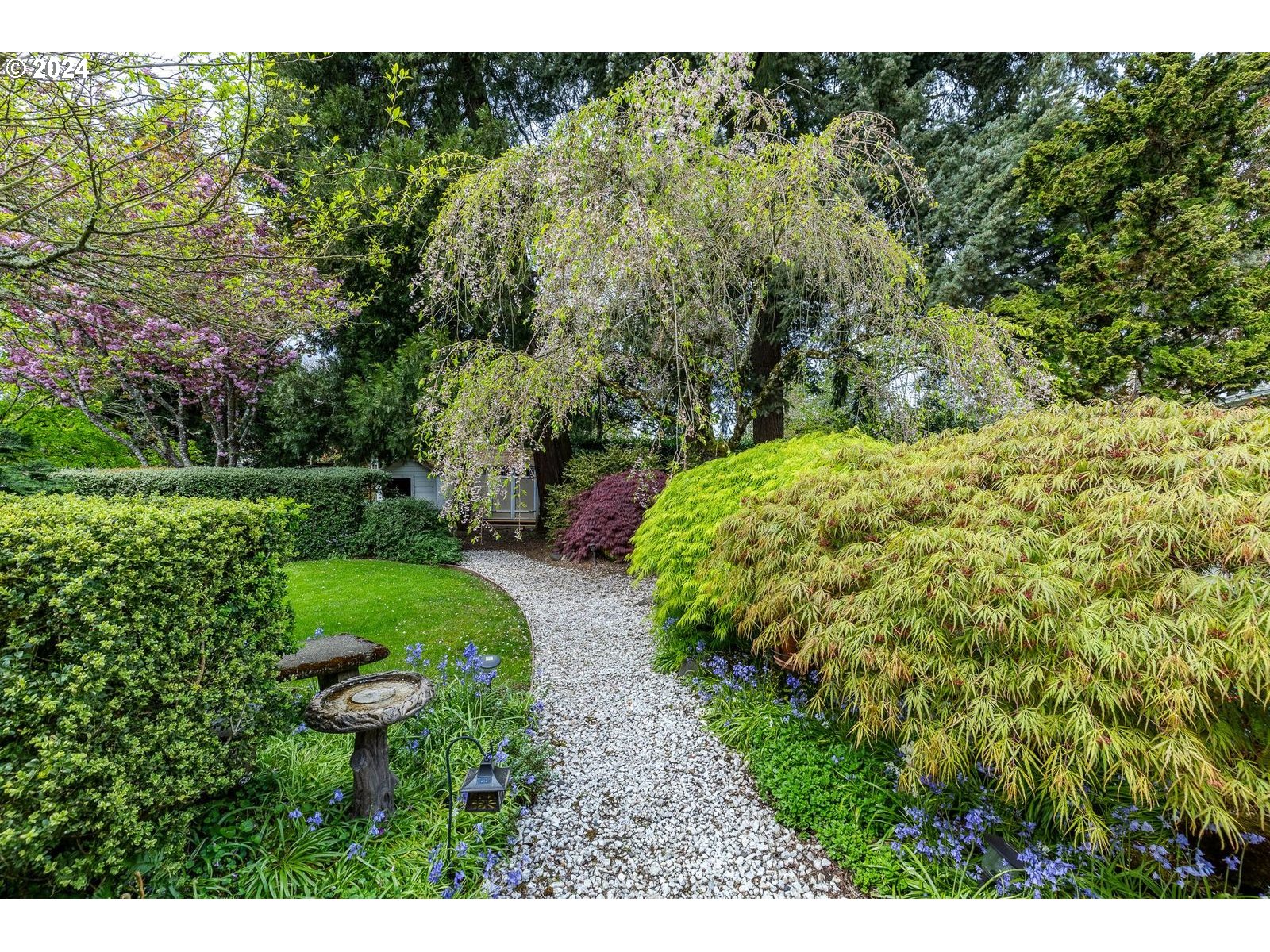 1450 Bogart Lane Eugene, OR 97401 - Photo 26 of 34 a view of a backyard with a garden
