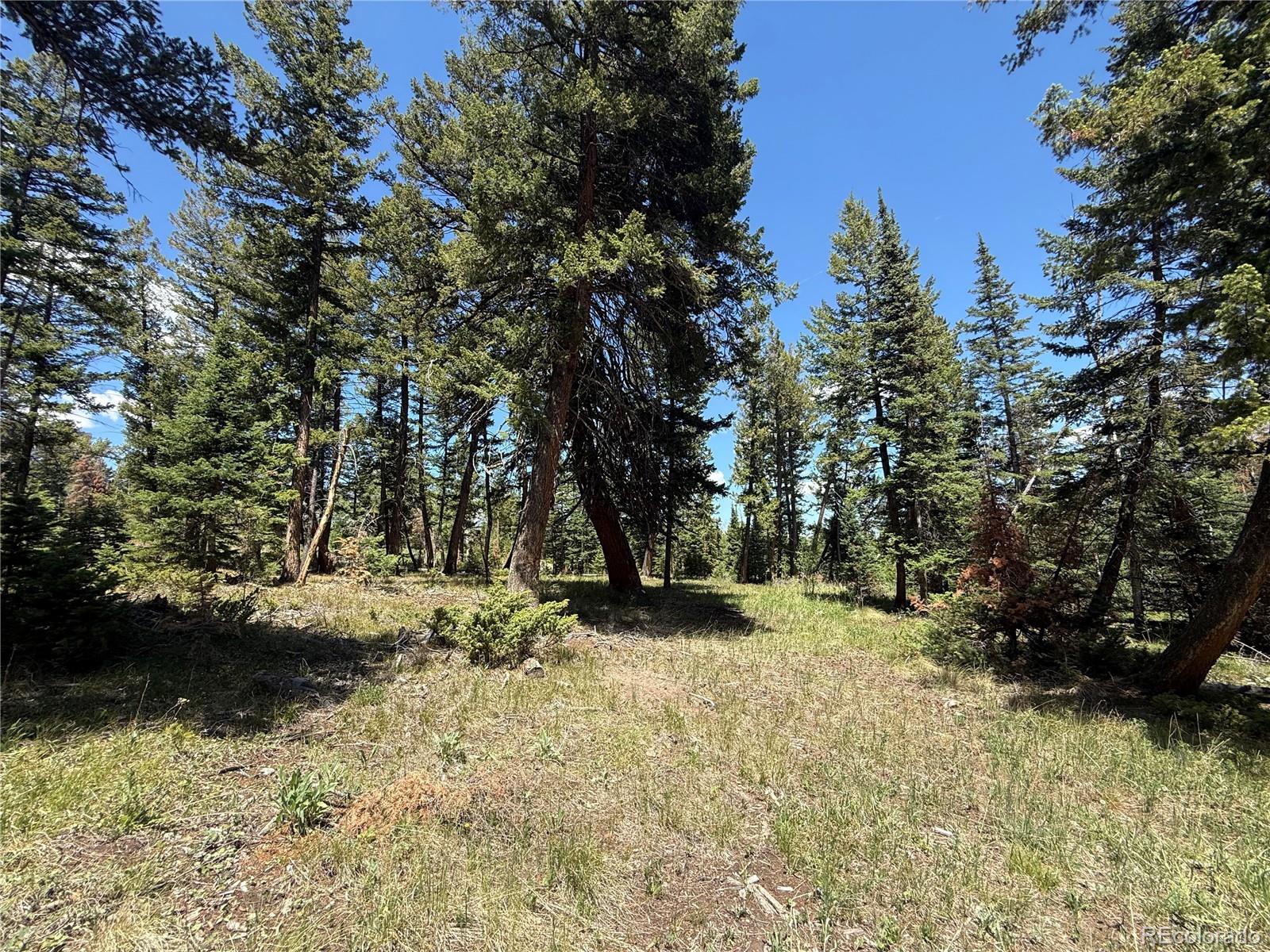 Spring Creek Ranch Road Silverthorne, CO 80498 - Photo 13 of 38