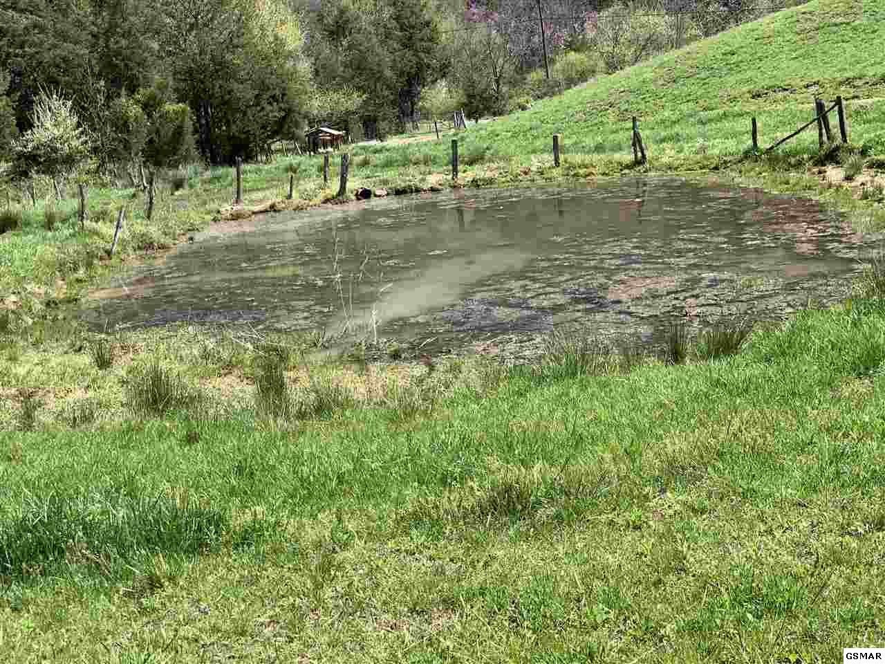 617 War Creek Road Eidson, TN 37731 - Photo 15 of 35