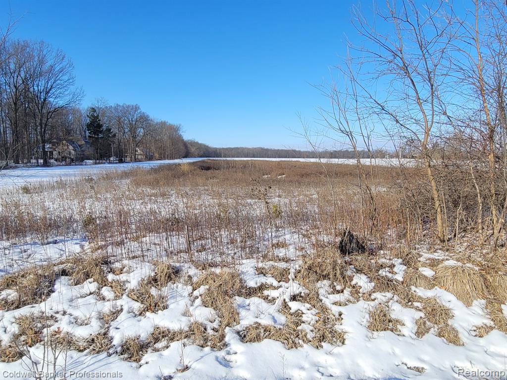 6285 Duffield Road Flushing, MI 48433 - Photo 4 of 10