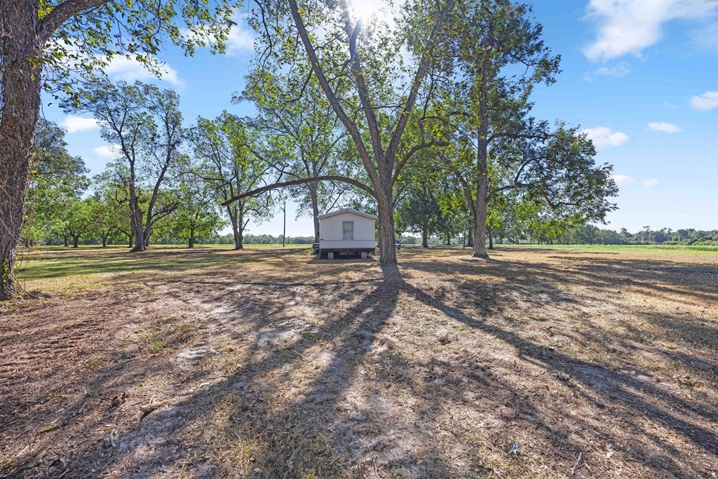 880 Griffin Road Barney, GA 31625 - Photo 7 of 21 Gallery Image 7