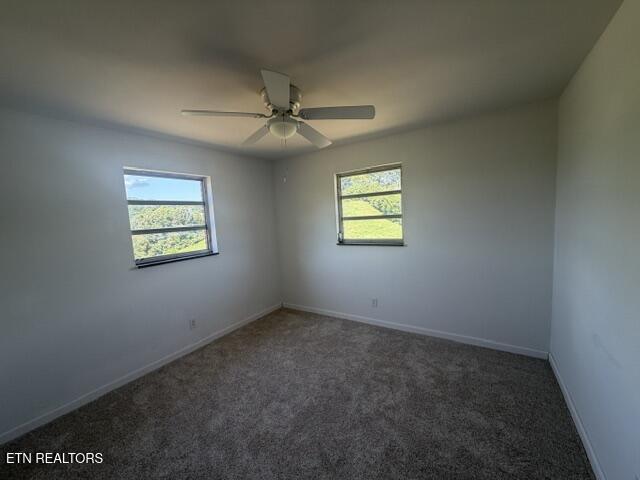 526 Blue Hollow Road Rose Hill, VA 24281 - Photo 25 of 34 IMG_7459