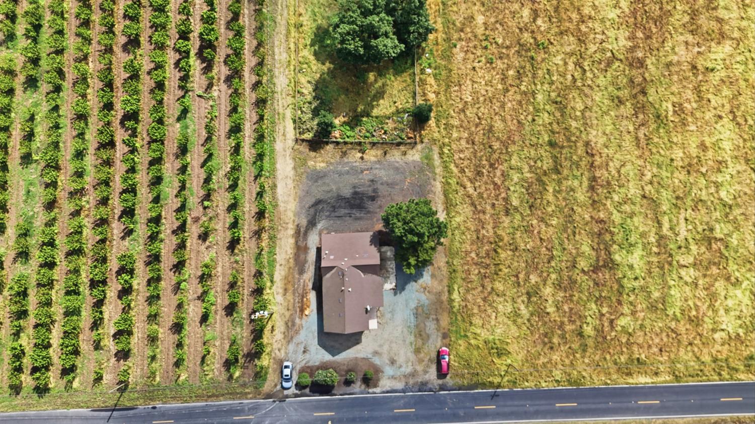 20042 North Ray Road Lodi, CA 95242 - Photo 45 of 64
