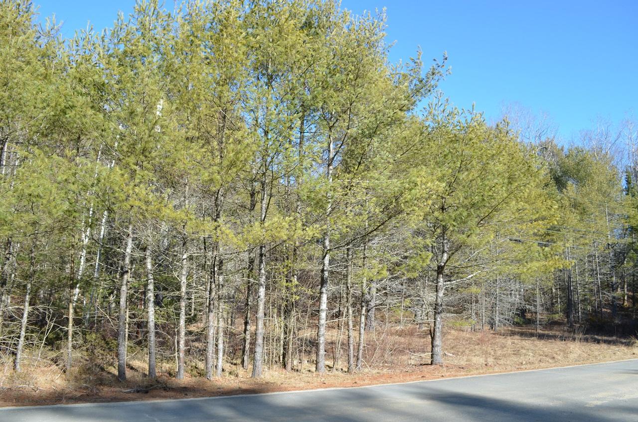 2-l 10 Old Route Edgecomb, ME 04556 - Photo 1 of 1 006