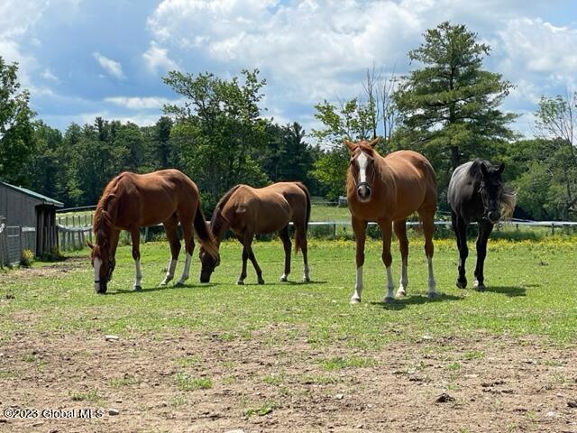 236 Decker Road Middleburgh, NY 12122 - Photo 12 of 55 IMG_5278 (2)