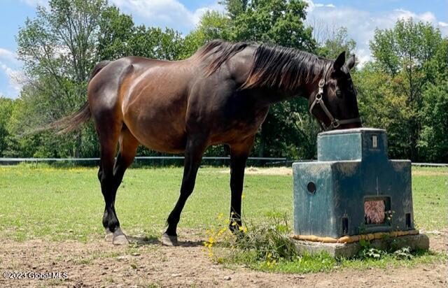 236 Decker Road Middleburgh, NY 12122 - Photo 13 of 55 IMG_5279