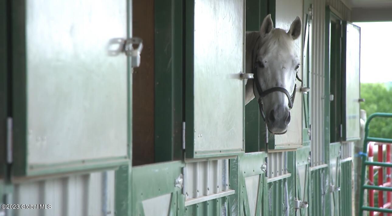 236 Decker Road Middleburgh, NY 12122 - Photo 27 of 55 IMG_9529