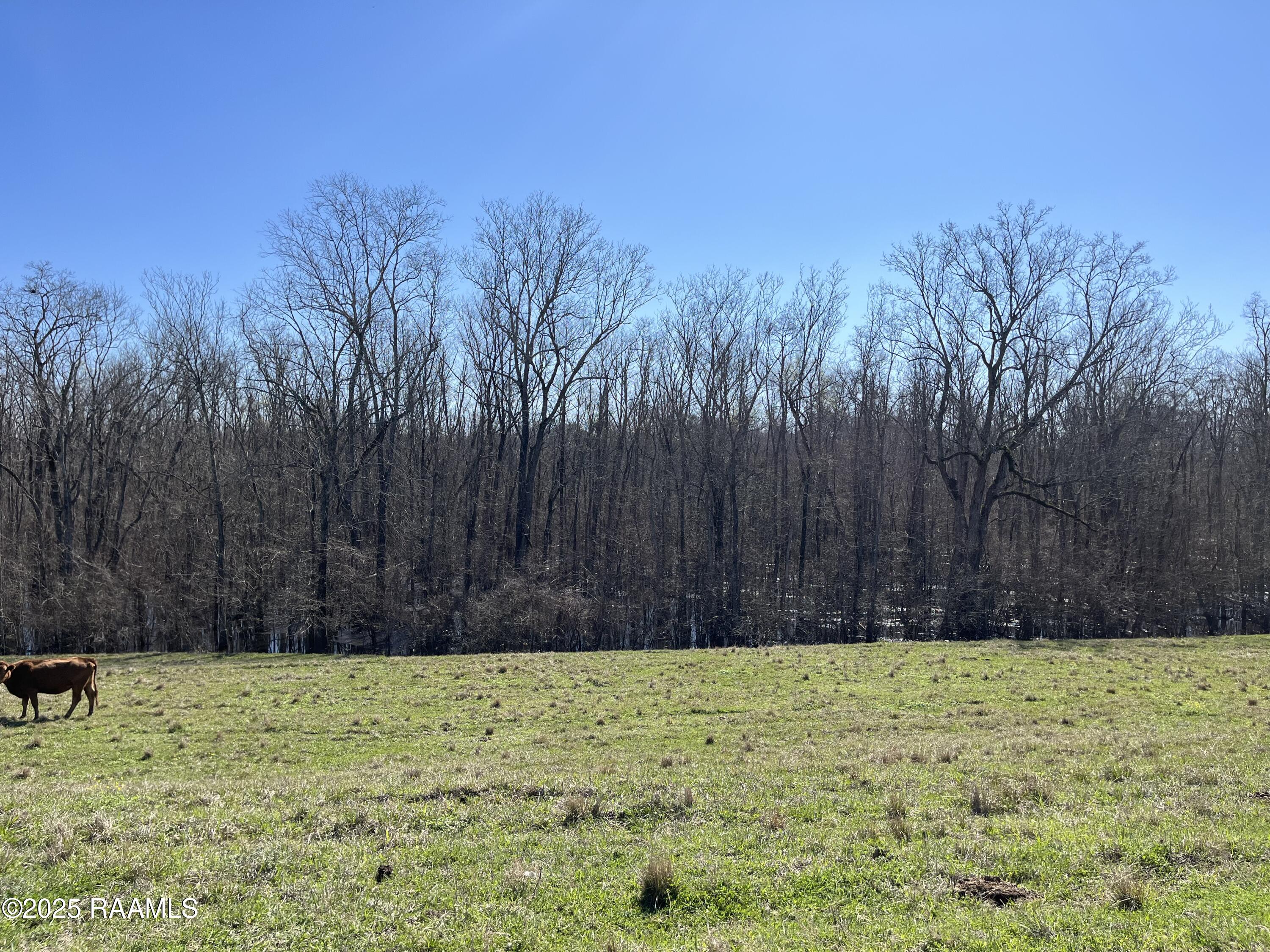 3 South Levee Road Port Barre, LA 70577 - Photo 7 of 7 IMG_2289