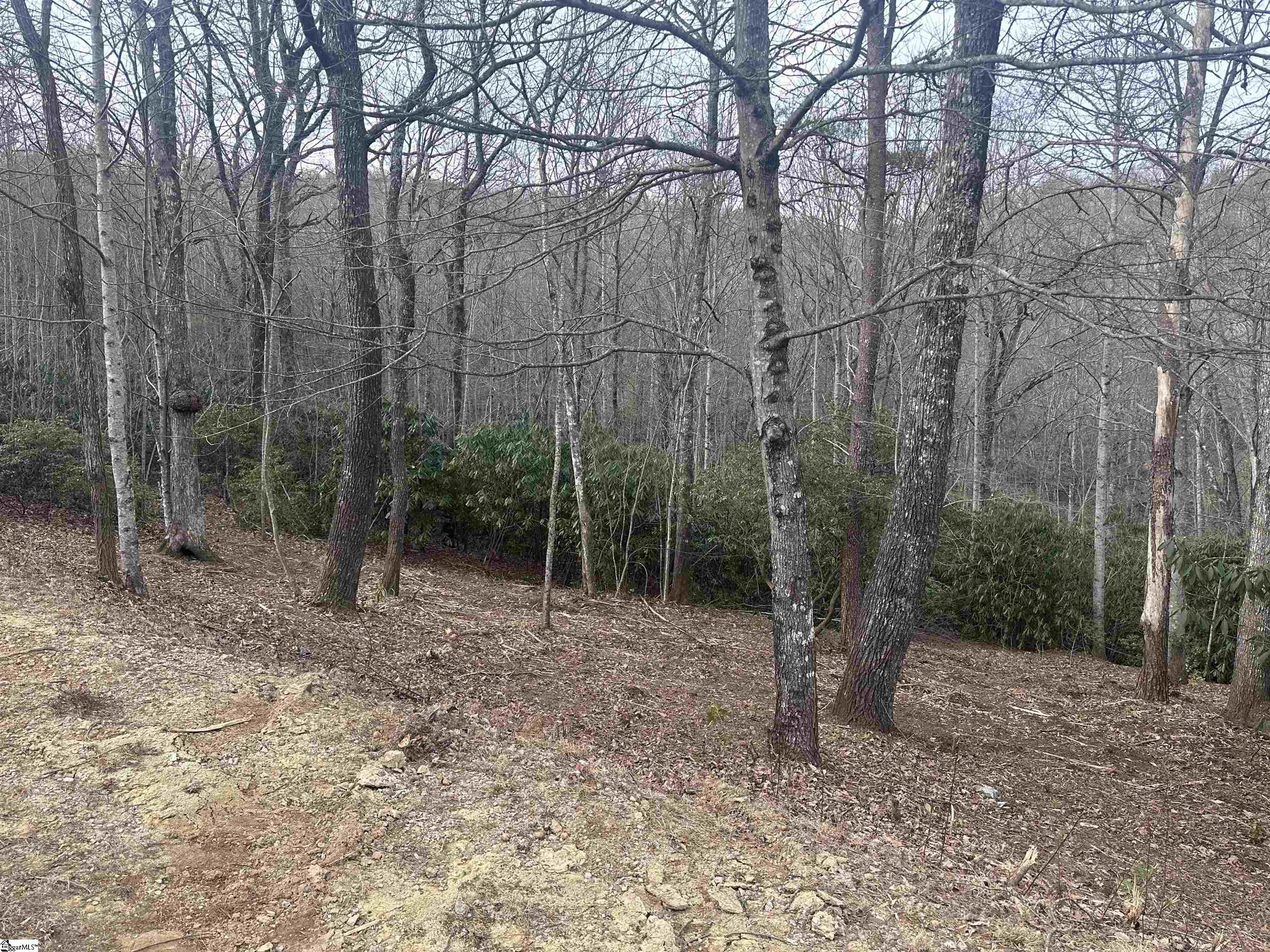 24 Blazing Star Trail Landrum, SC 29356 - Photo 2 of 2