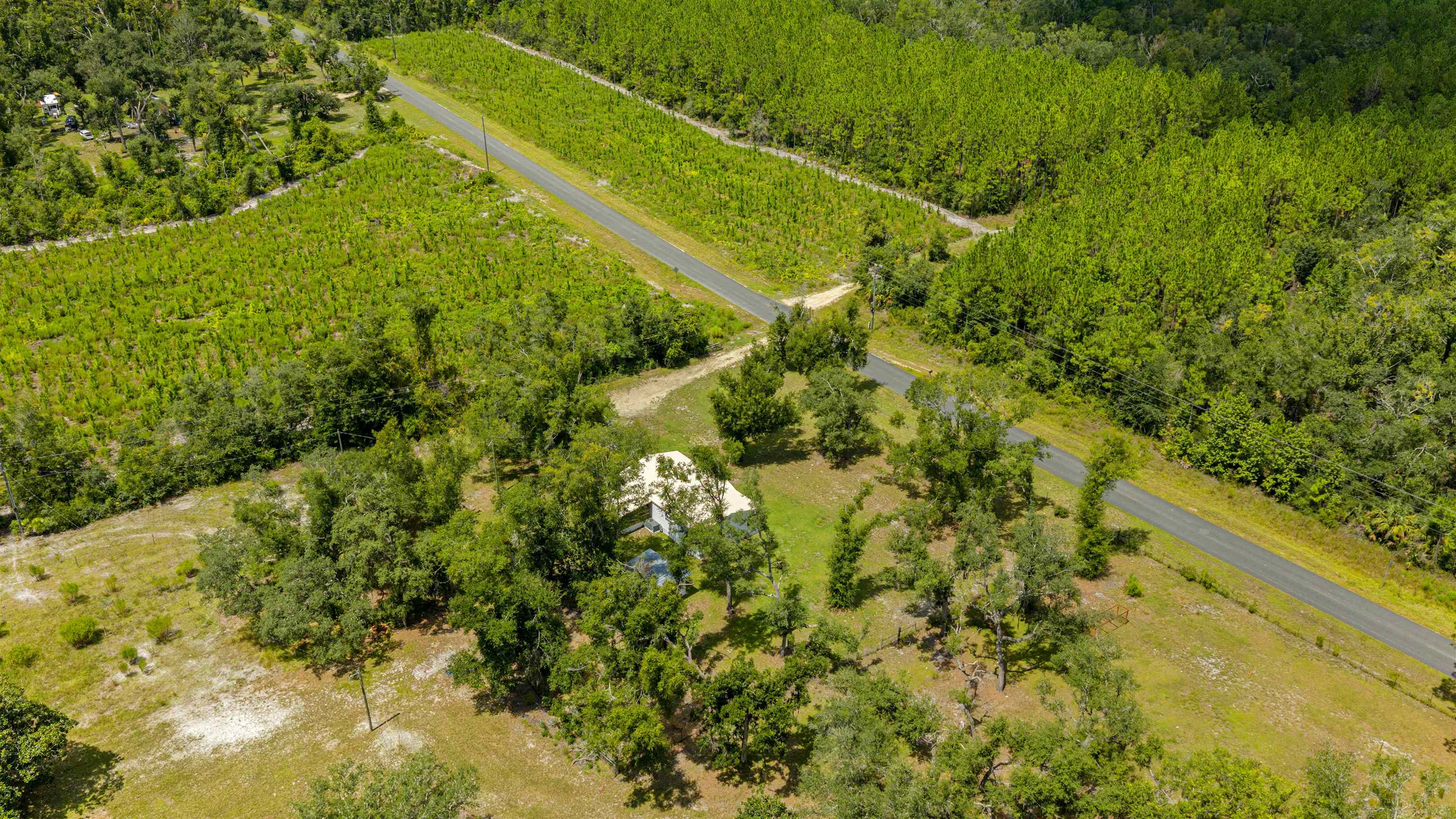 1725 Ma Dixon Road Perry, FL 32348 - Photo 39 of 43 Gallery Image 39