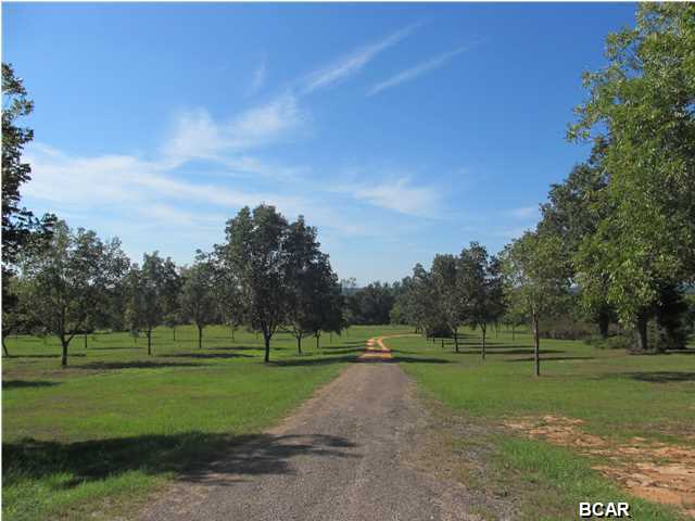 977 Pioneer Road Chipley, FL 32428 - Photo 23 of 73