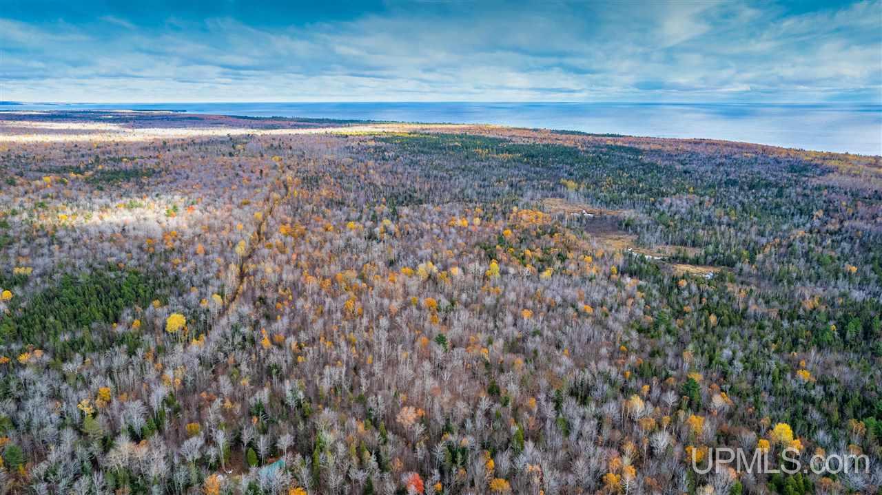 Tbd Tbd Iron Gate Road Mohawk, MI 49950 - Photo 4 of 17