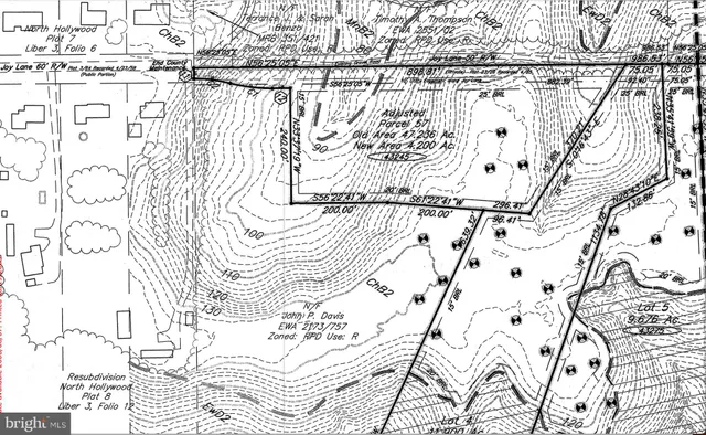 a picture of a door with a white tree