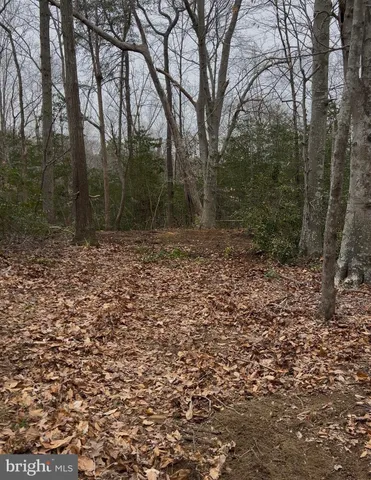a view of a yard with trees