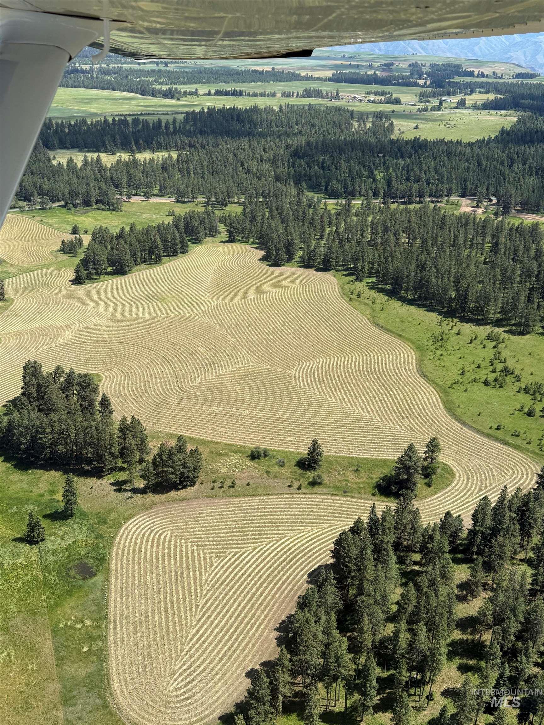 1881 Mill Road Anatone, WA 99401 - Photo 47 of 50