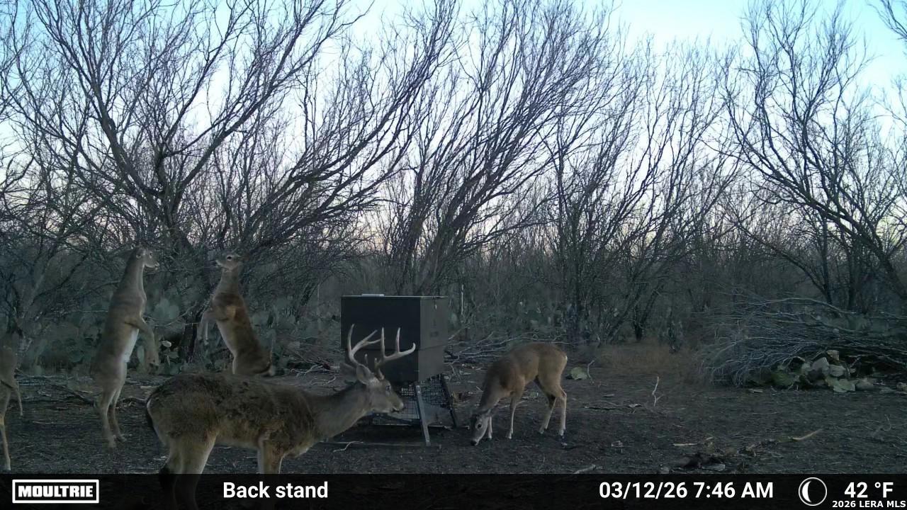 0 Cr 241 Three Rivers, TX 78071 - Photo 16 of 19