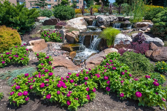 a picture of flowers