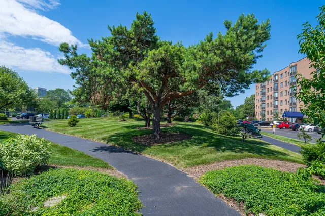 a view of a park with plants and trees
