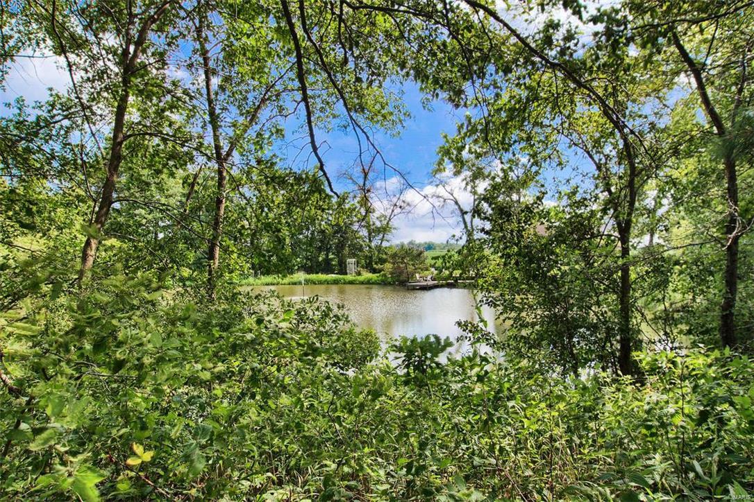 16000 Jamestown Road Breese, IL 62230 - Photo 58 of 60