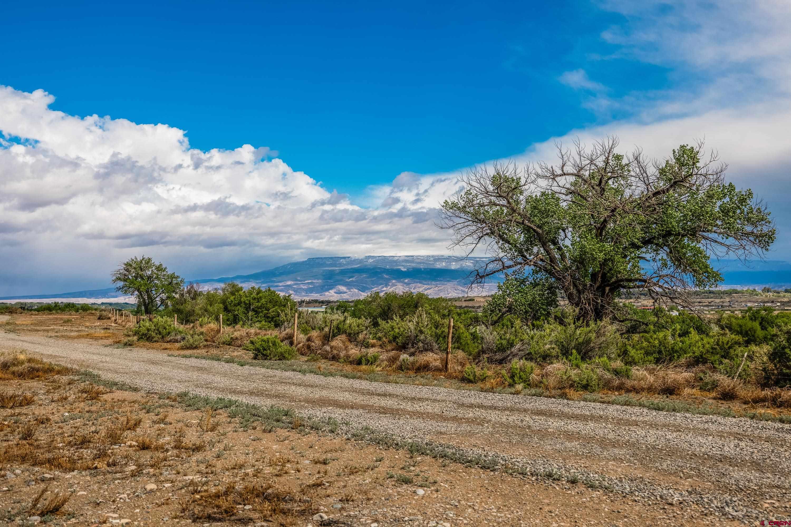 17377 Breeze Road Delta, CO 81416 - Photo 26 of 45 a view of a yard with an ocean